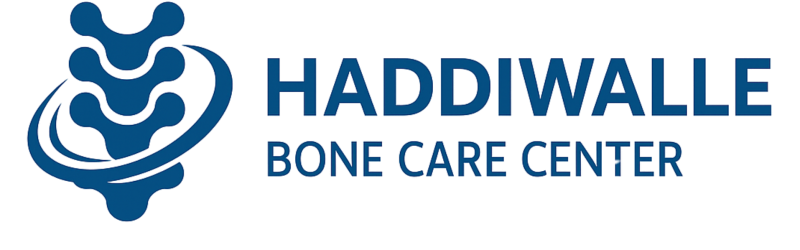Haddiwalle logo delhi
